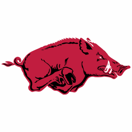 Arkansas Razorbacks