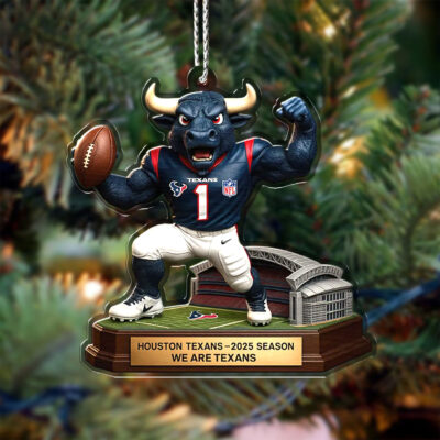 Houston Texans | Premium NFL Football Christmas Ornaments - 3