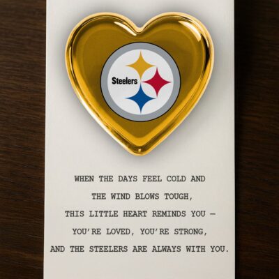 Pittsburgh Steelers | Premium NFL Pocket Hug